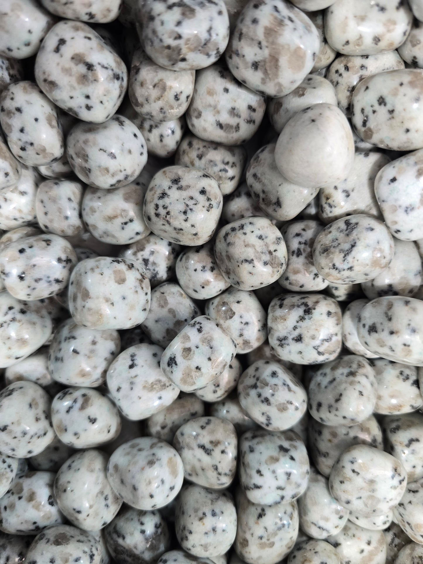 Kiwi Jasper tumbles $35 p,kg