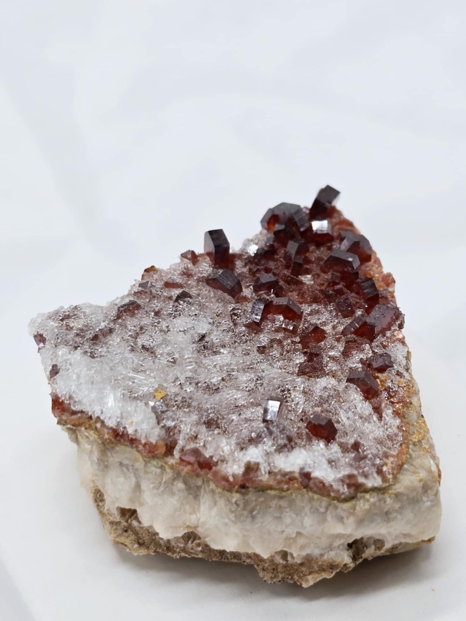 Clusters & Specimens