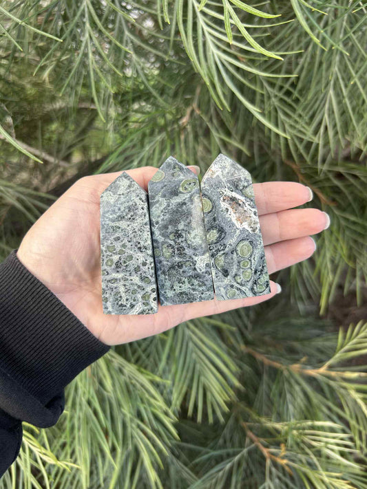 Kambaba Jasper Towers $70